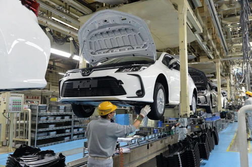 2019年度開發區最佳招商項目揭曉，二手汽車銷售明星項目閃耀榜單